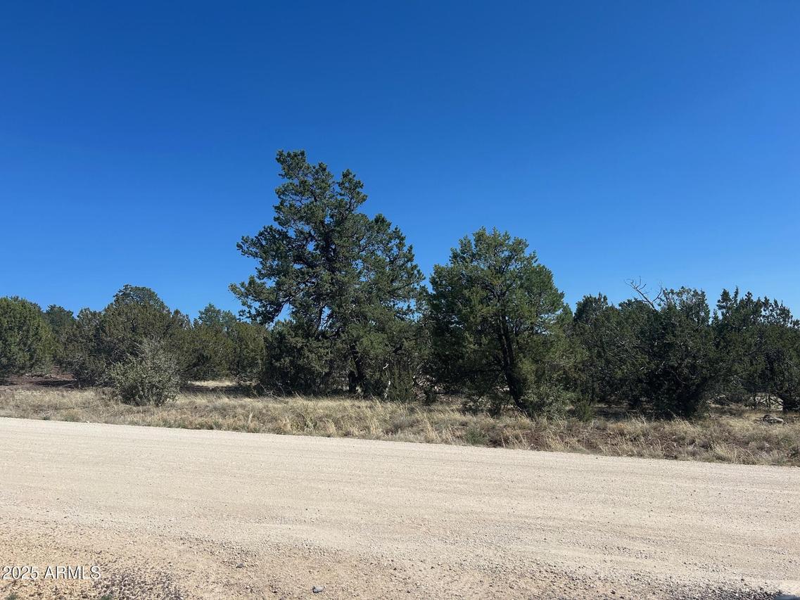 lot 7 Stanford #7, Vernon, AZ 85940