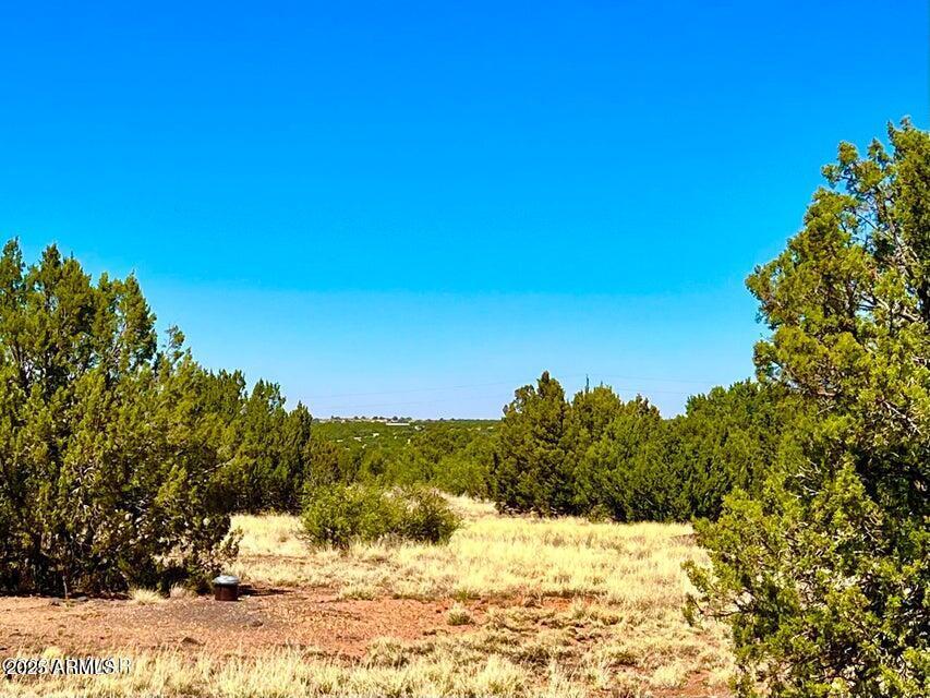 8476 Alpine Pl. #-, Show Low, AZ 85901