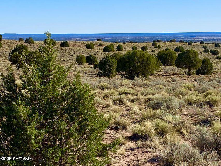 River Meadows Ranch Unit 3 Lot 204 #-, Concho, AZ 85924