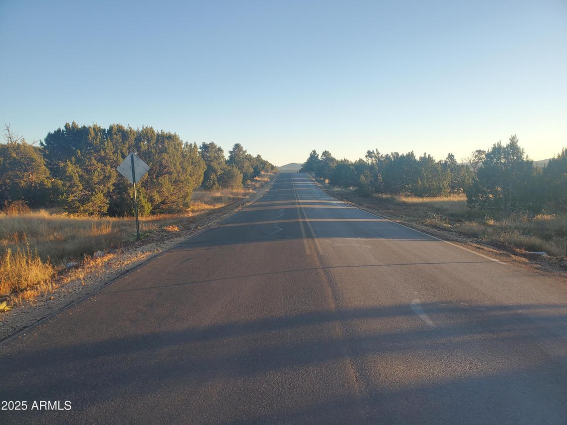 1 County Road N8155 #-, Concho, AZ 85924