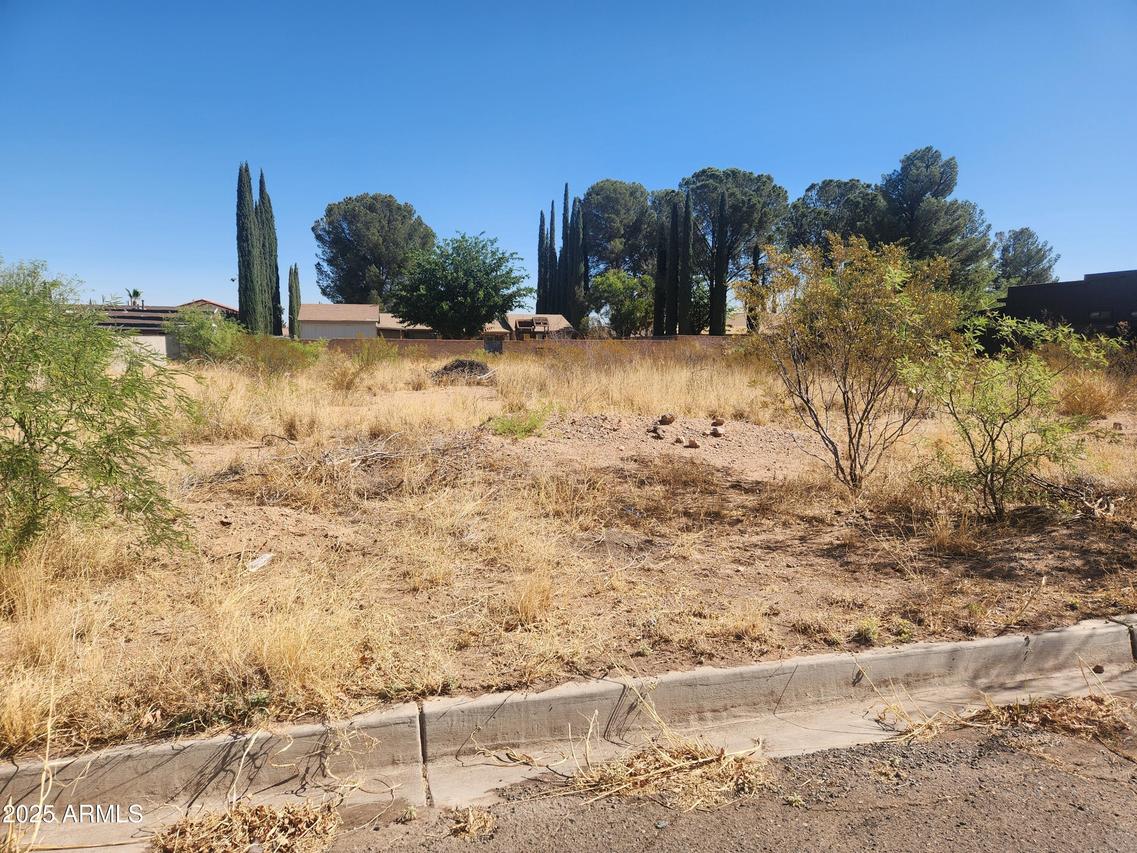 2804 E Borane St. #LOT 15, Douglas, AZ 85607