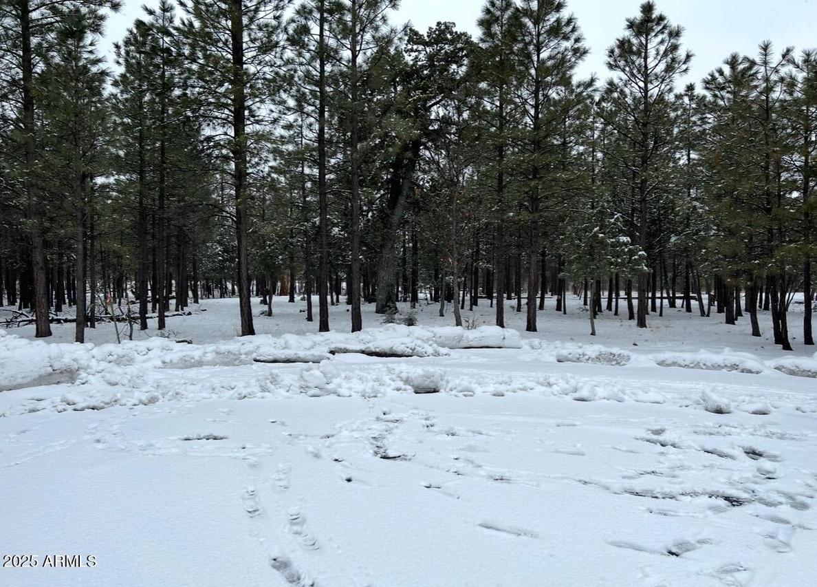 4382 Jack Pine Pl. #-, Happy Jack, AZ 86024
