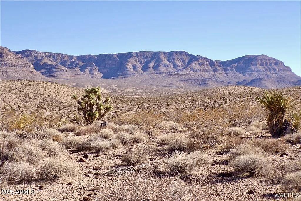 113 N Pine Ave., Meadview, AZ 86444