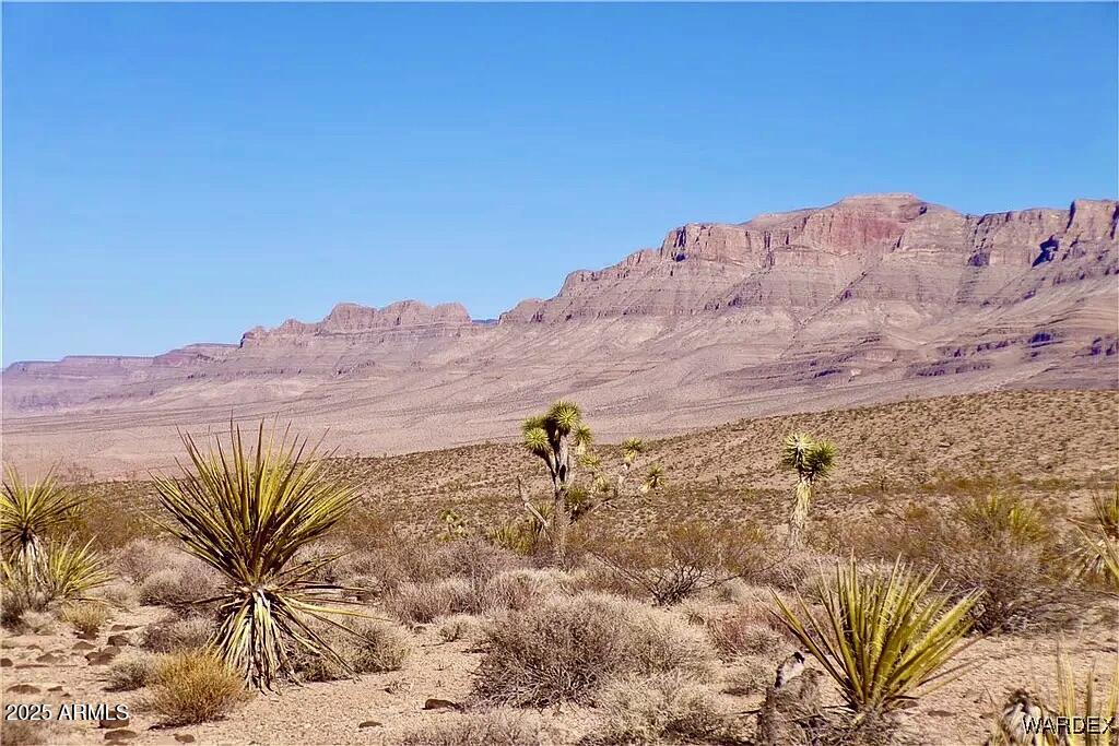 258 Mohave Ln., Meadview, AZ 86444