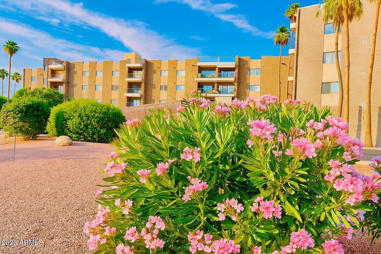 425 S Parkcrest St. #323, Mesa, AZ 85206