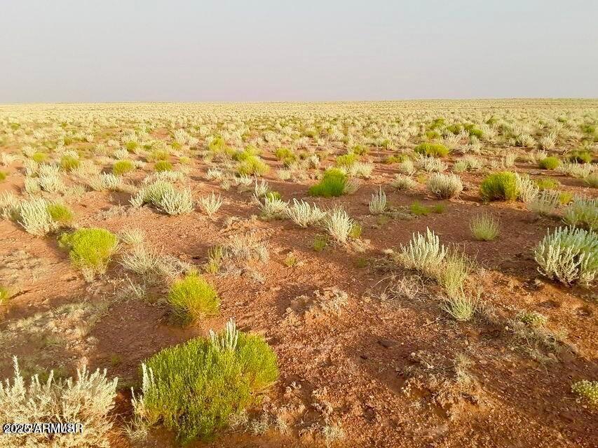 TBD Hodges Ln 39.05 Acres #-, Holbrook, AZ 86025