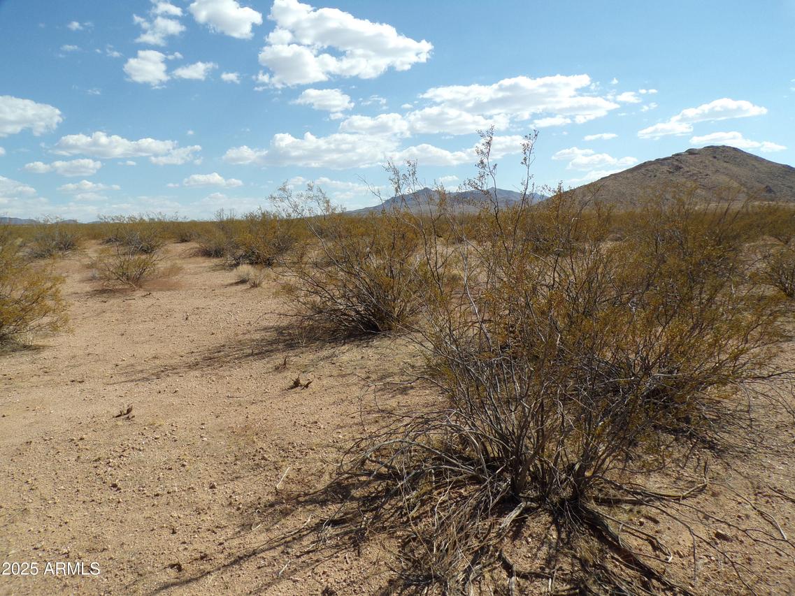 3 lots Banjo Dr. #4665, 4666, 4667, Kingman, AZ 86409