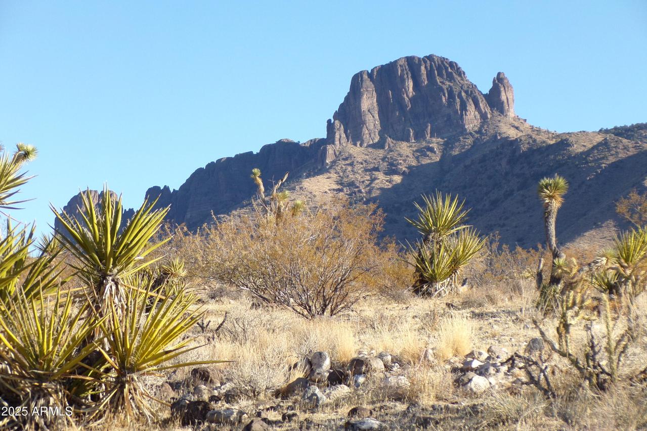 Lot 550 N Manor St. #550, Dolan Springs, AZ 86441