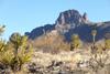 Homes Just Sold in Dolan Springs: August 19th to August 25th