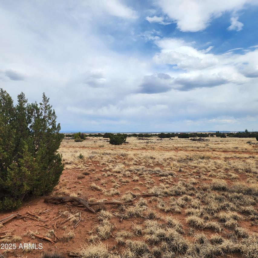 5506 Glasgow Dr. #54, Snowflake, AZ 85937