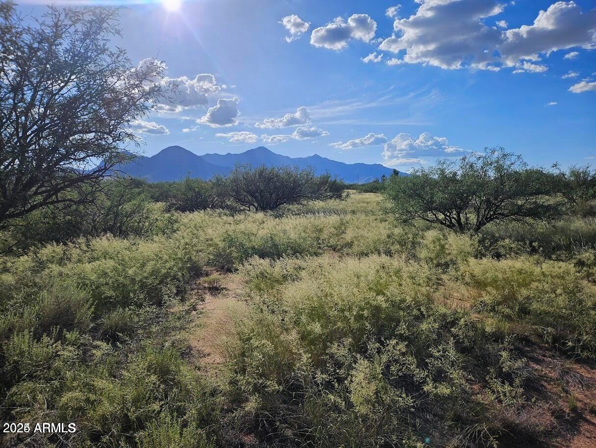 4.5 acres E Lane Ranch Rd. #30, Hereford, AZ 85615