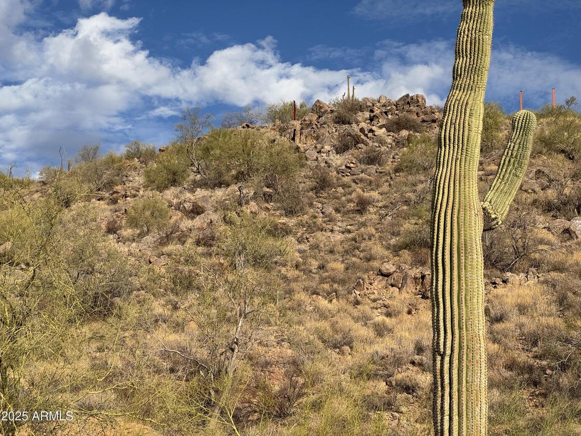 5200 S Cariott Ct. #-, Gold Canyon, AZ 85118