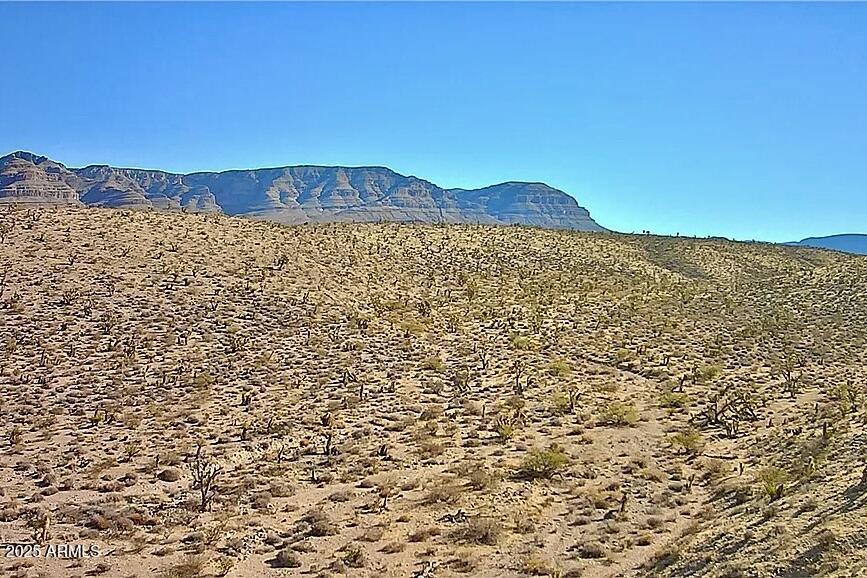 126 Antelope Ave., Meadview, AZ 86444
