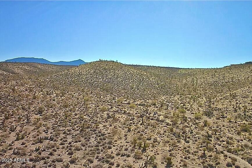 123 Antelope Ave., Meadview, AZ 86444