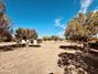 New Homes For Sale This Week in Clay Springs: May 30th to June 5th