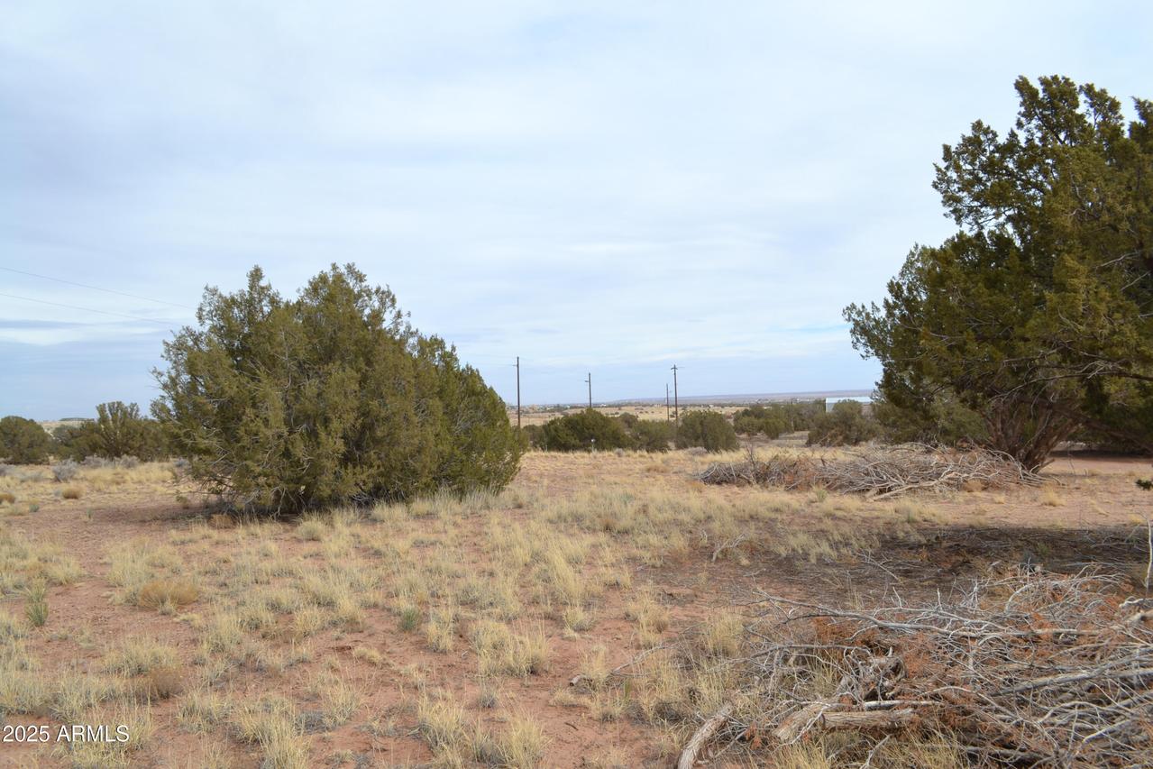 Lot 020D E 24th North St. #020D, Snowflake, AZ 85937
