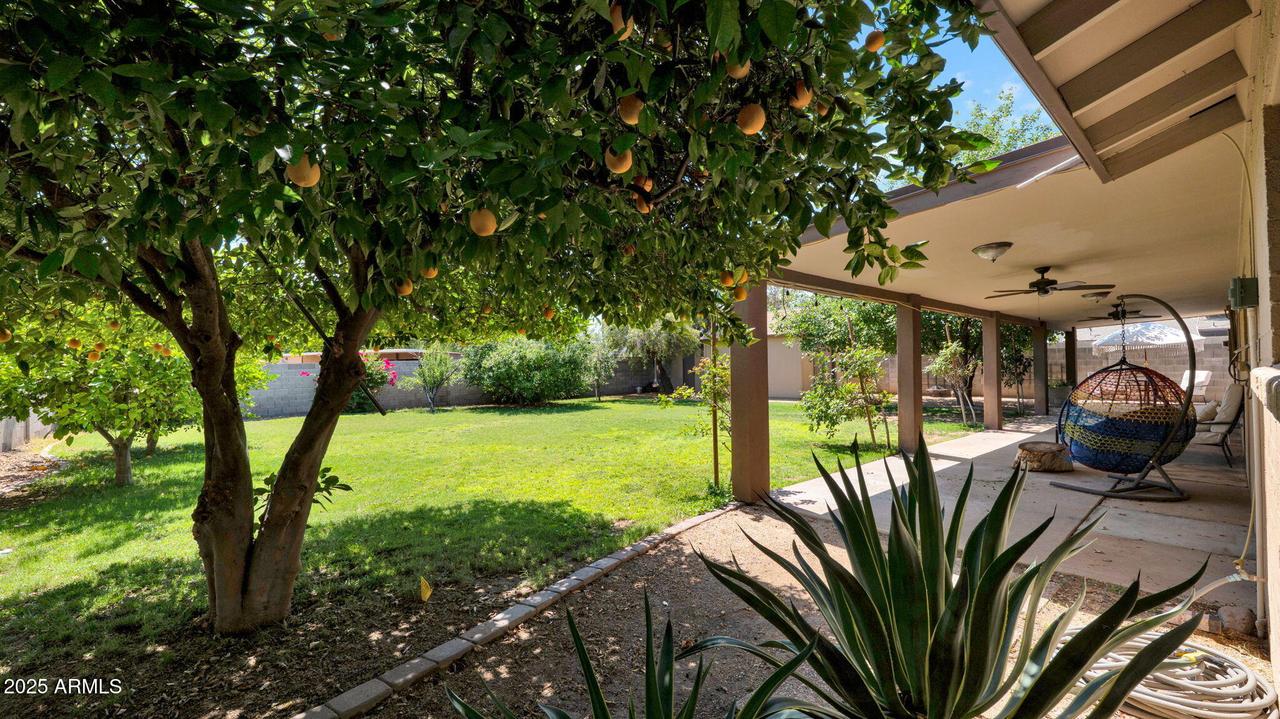 11011 N 39th St., Phoenix, AZ 85028