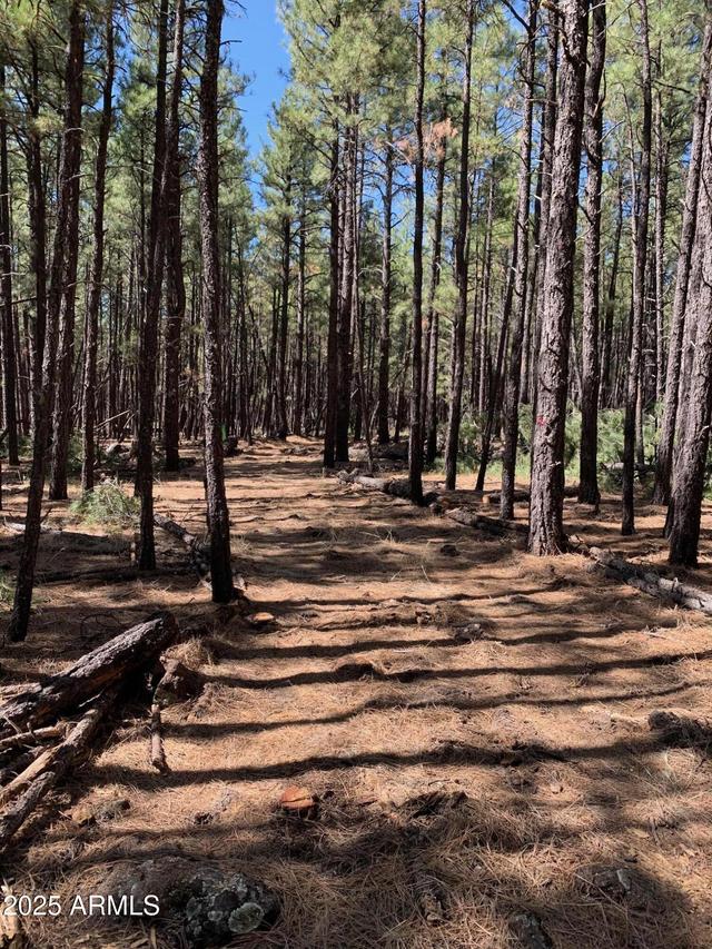 TBD-2 Dynamite Rd. #'-', Lakeside, AZ 85929