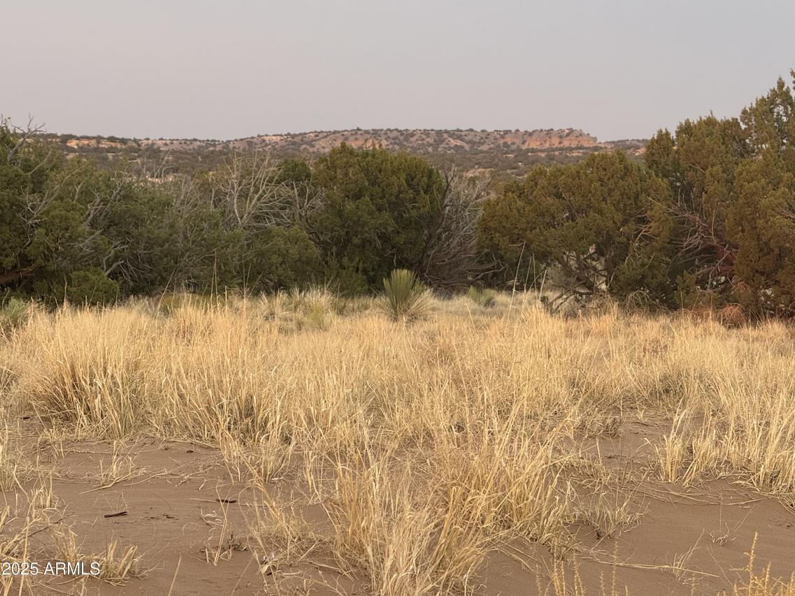 Lot 1041 Woodland Valley Ranch #1041, St Johns, AZ 85936