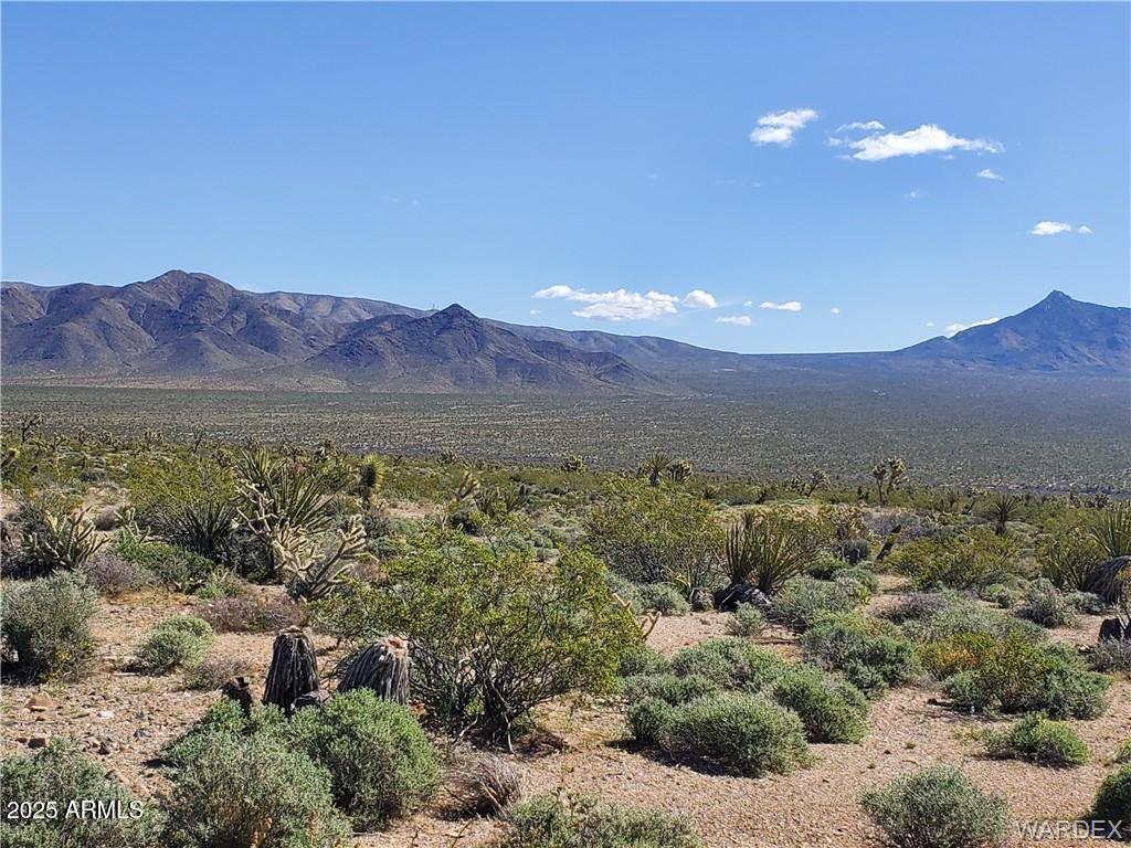 Lot 3076 W Gold Basin Dr. #3076, Meadview, AZ 86444