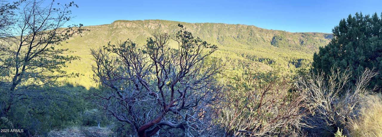 132 N Knob Hill, Pine, AZ 85544