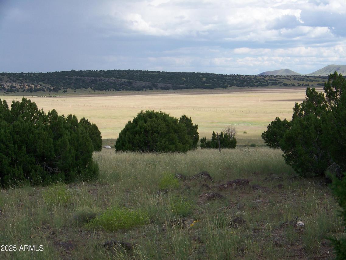 Lot 253 N8640 #253, Concho, AZ 85924