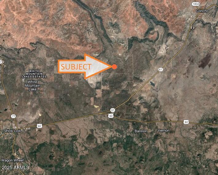 57 County Road N8060 #-, Concho, AZ 85924