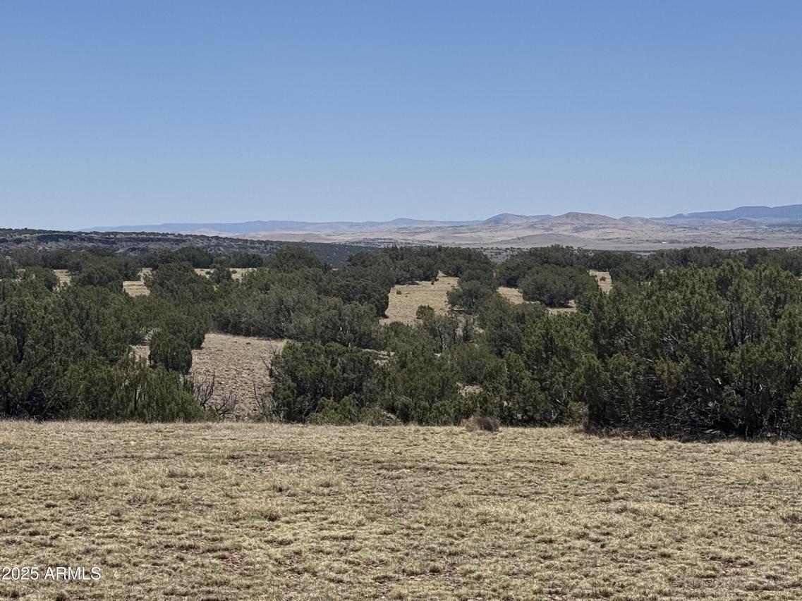 Lot #9 Big Six Ranches #9, Concho, AZ 85924