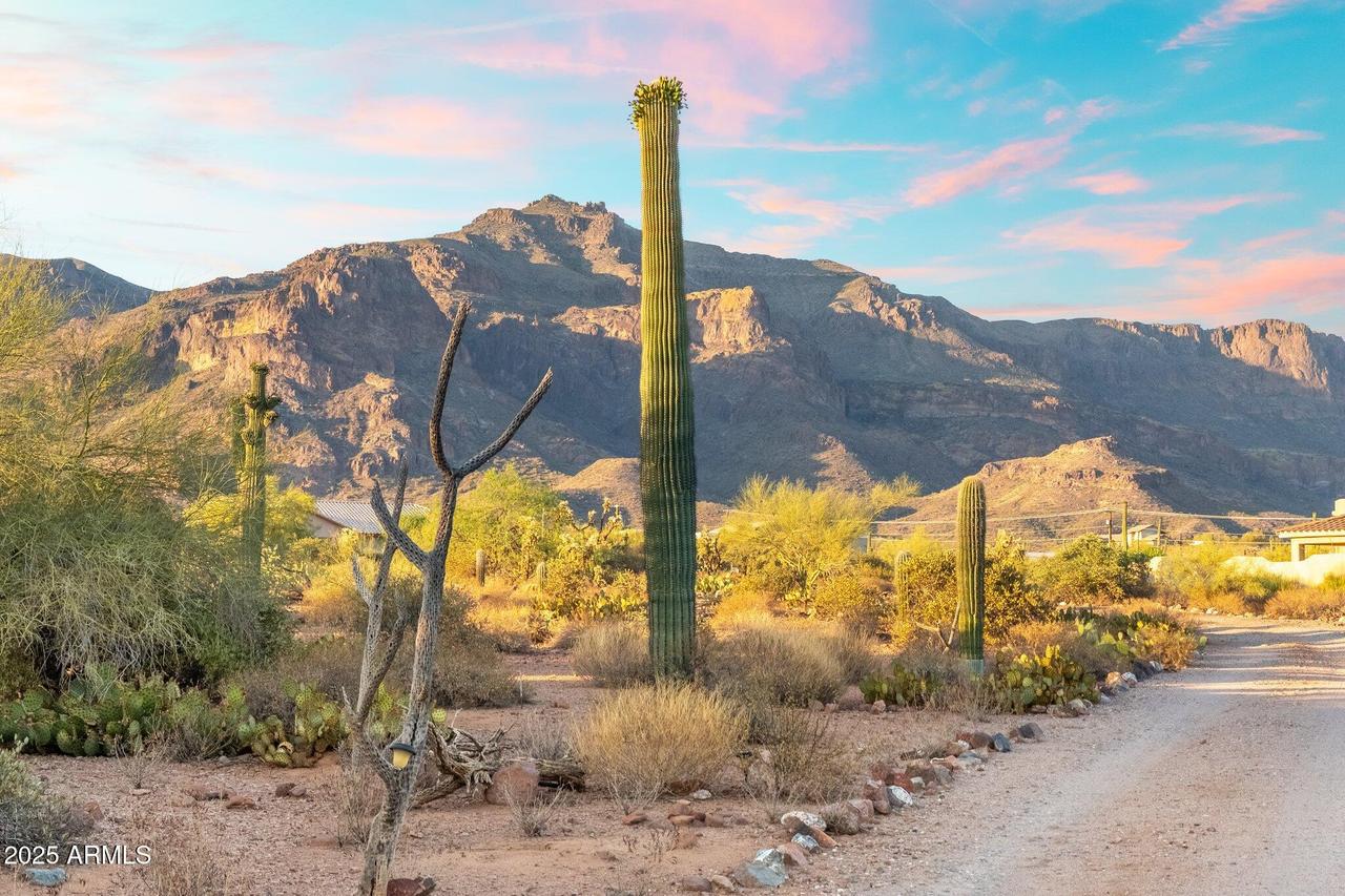 10631 E Cactus View Cir., Gold Canyon, AZ 85118