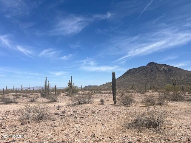 NNEC 391st W Mountain View Rd. #-, Tonopah, AZ 85354