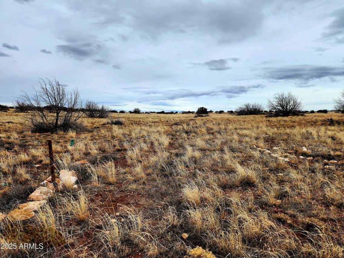 Lot 211 Dry Pasture Run #211, Heber, AZ 85928