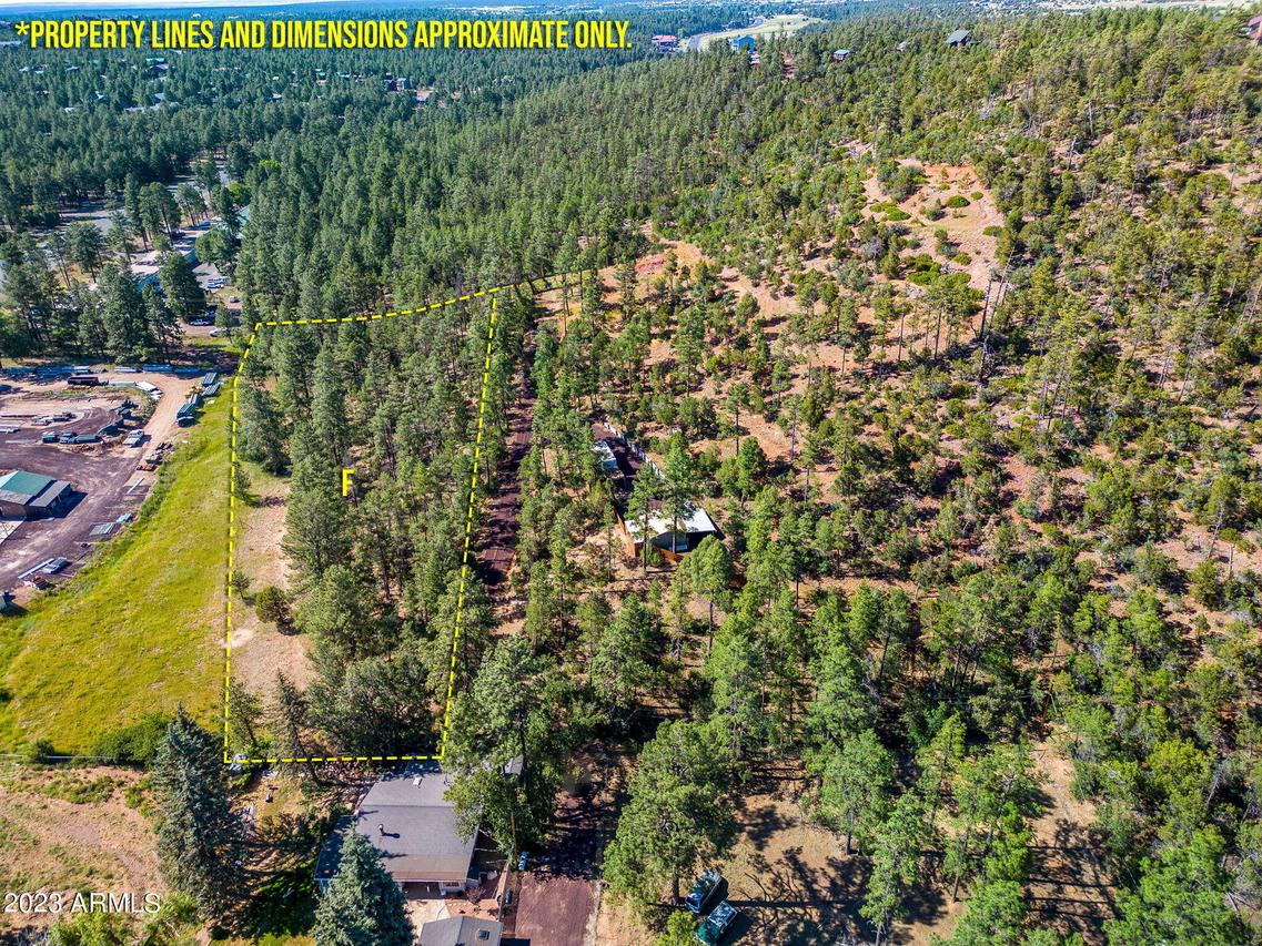 TBD E Ellsworth Rd. #-, Show Low, AZ 85901