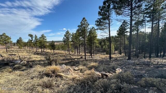 806 Eagle View Dr. #29, Happy Jack, AZ 86024