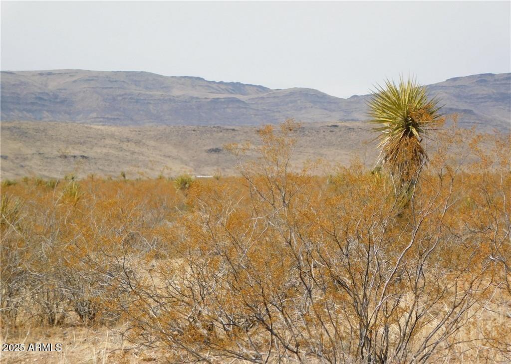 3 lots N Dragoon St. #6, 7 8, Golden Valley, AZ 86413
