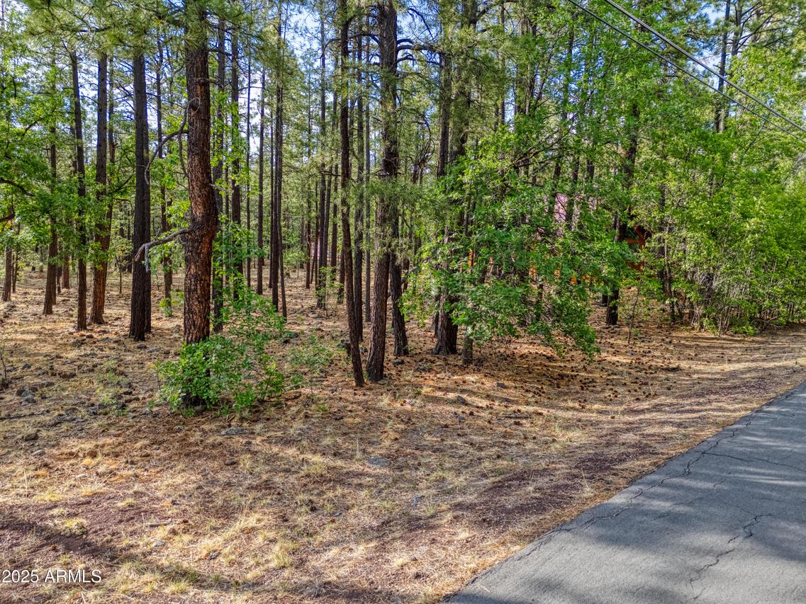 7202 Tall Pine Dr. #74, Pinetop, AZ 85935