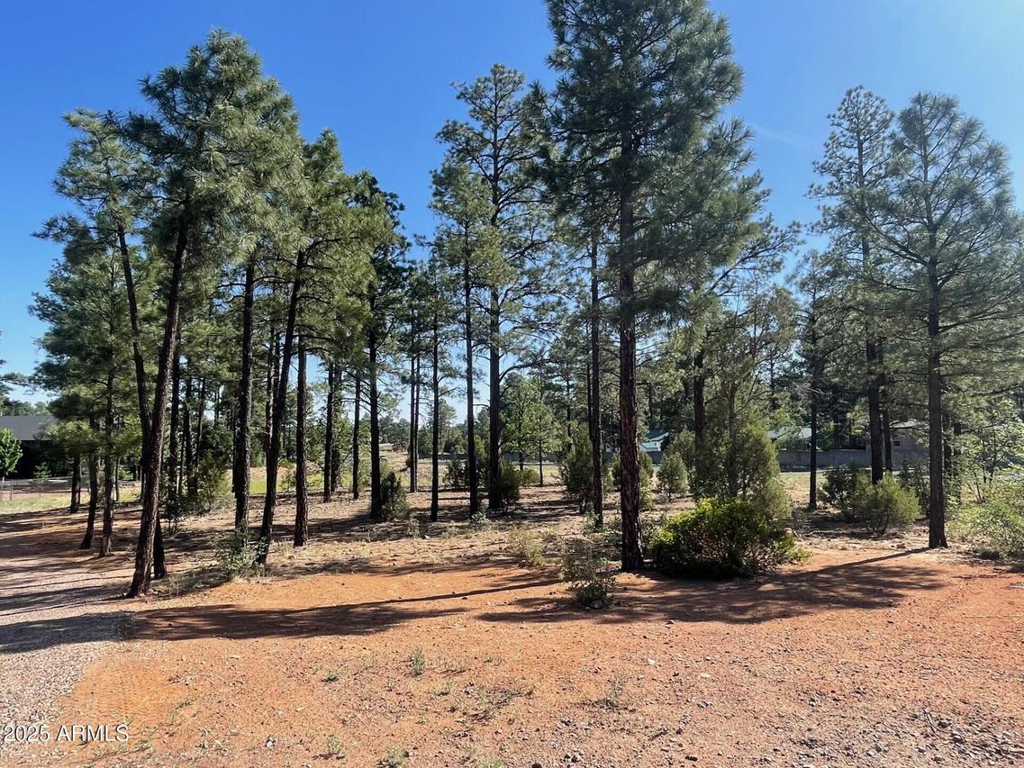 101 W Pine Haven Cir. #8, Show Low, AZ 85901