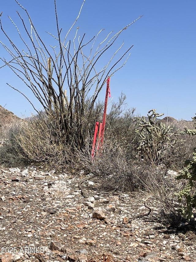 3246 N Silver Tip Tr. #1, Queen Valley, AZ 85118