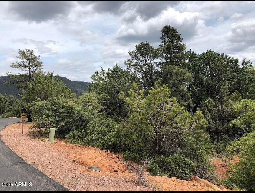 9 Lodgepole Cir., Pine, AZ 85544