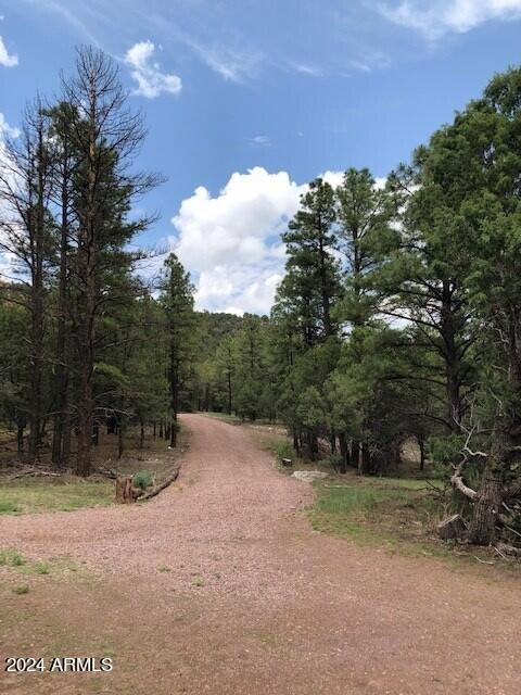 2 County Road N2331 #-, Nutrioso, AZ 85932