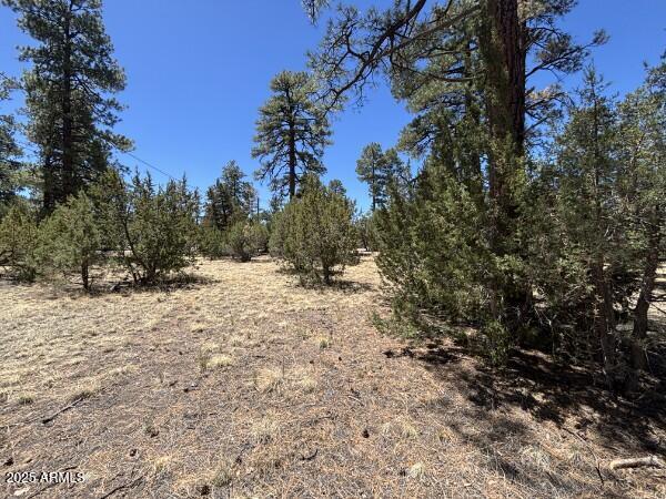 TBD Between 2901 & 2905 Pine Rim Rd. #154B, Overgaard, AZ 85933
