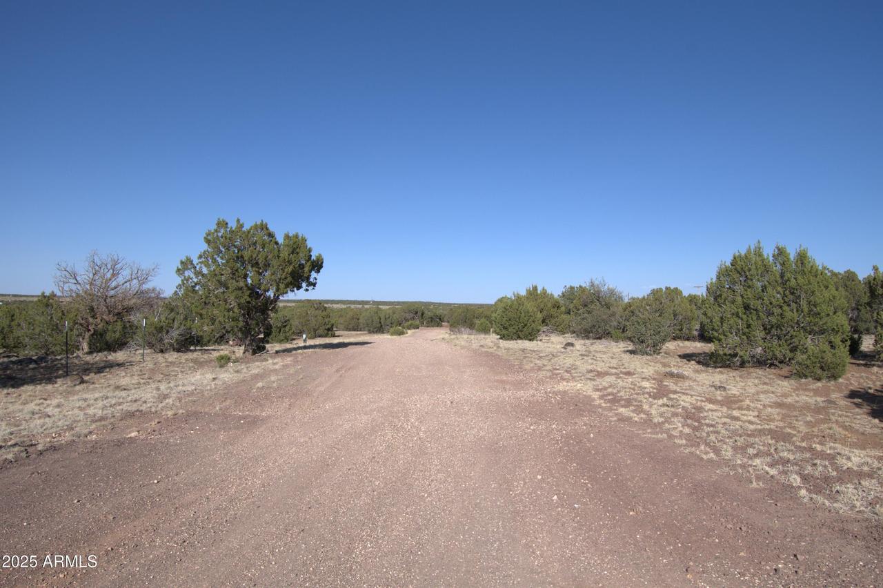 TBD W Lot 14 Bonito Dr. #14, Show Low, AZ 85901