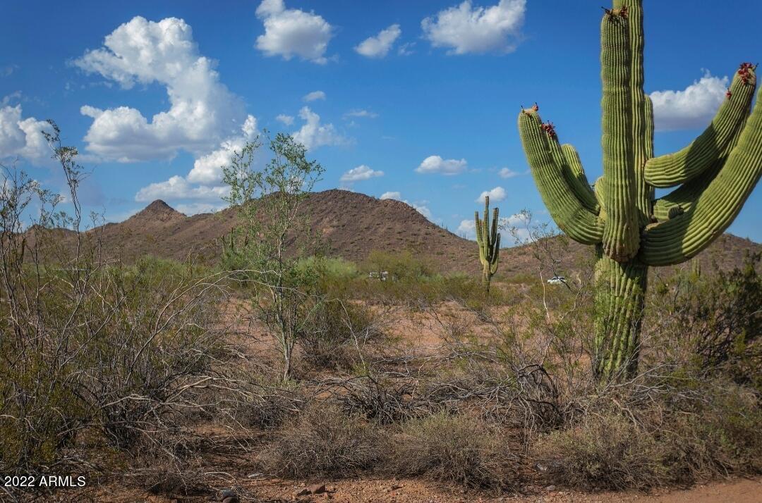 W Villa Cassandra Way #226, Unincorporated County, AZ 85361