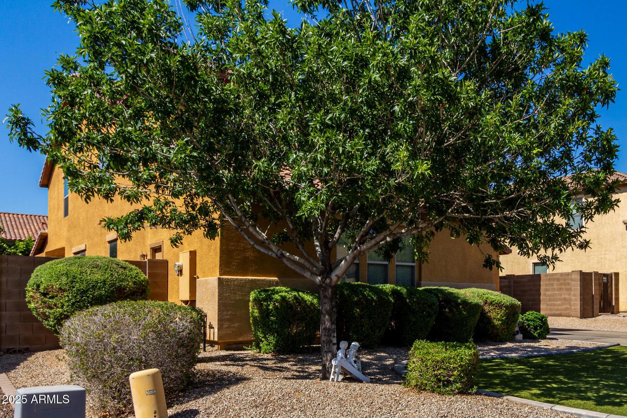 3080 E Andre Ave., Gilbert, AZ 85298