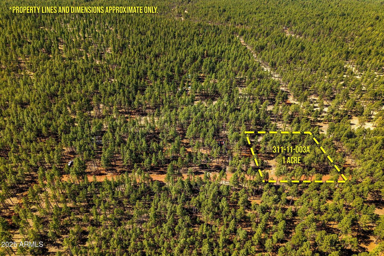 A-TBD Birdsong Way #A, Lakeside, AZ 85929