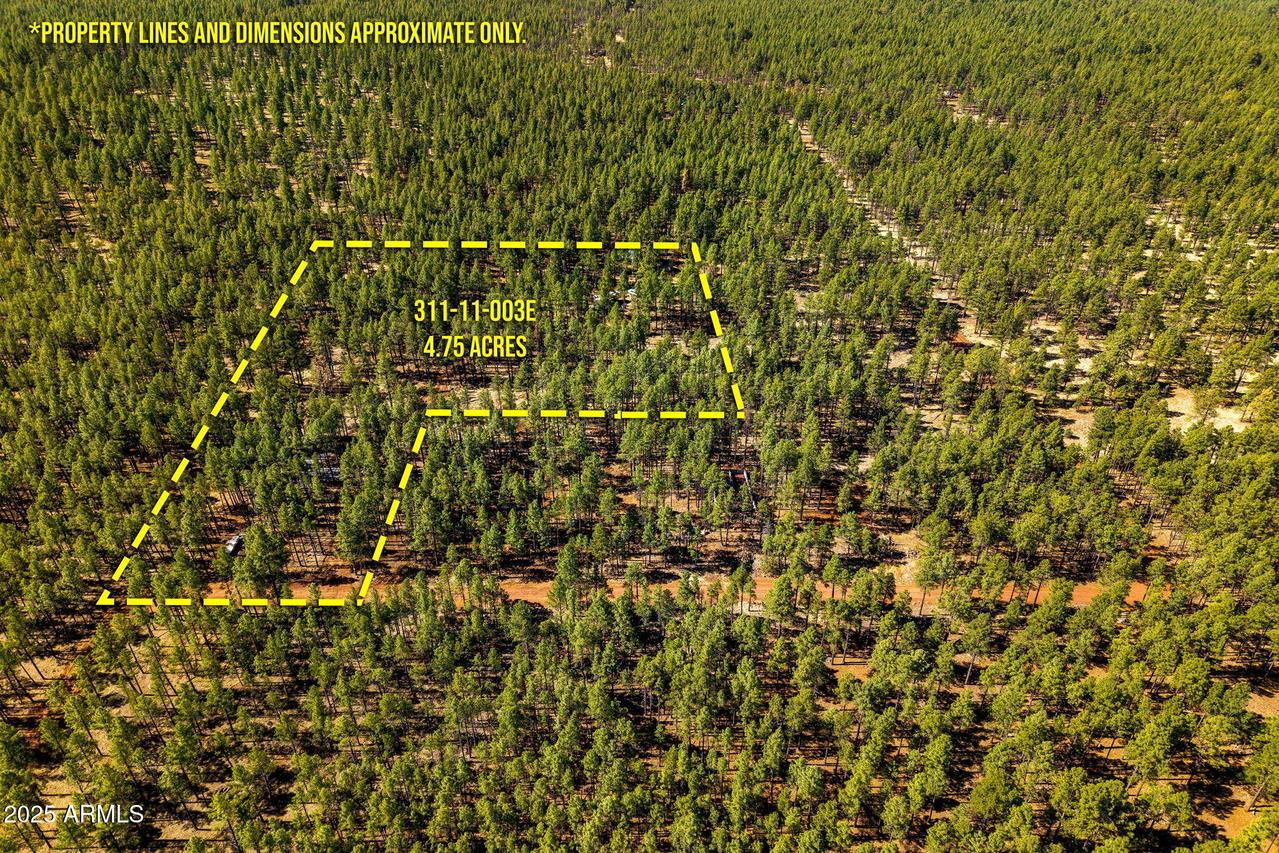 E-TBD Birdsong Way #E, Lakeside, AZ 85929