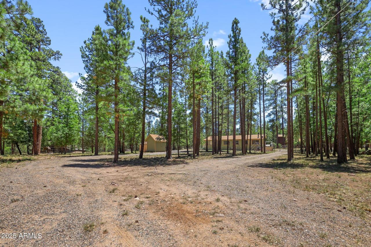 646 Reata Pass, Happy Jack, AZ 86024