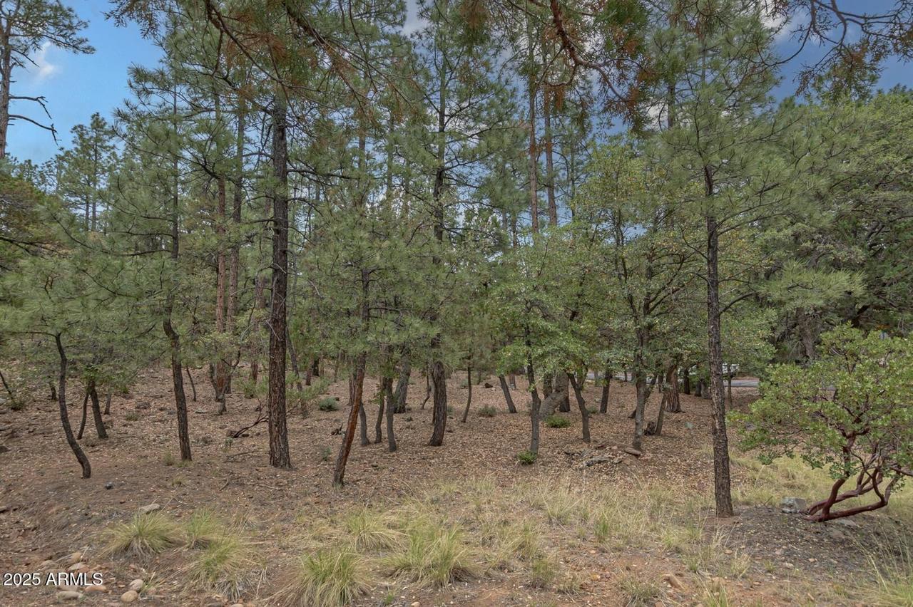98 Trail End Dr., Pine, AZ 85544
