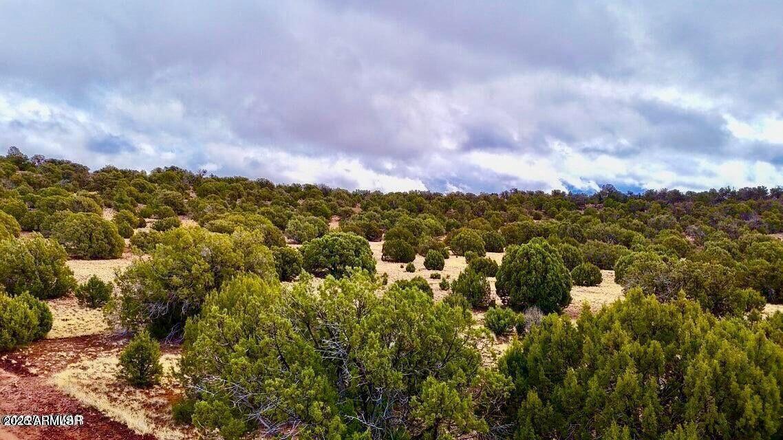 TBD Co Rd 8256 Lot C 10 Acres #-, Concho, AZ 85924