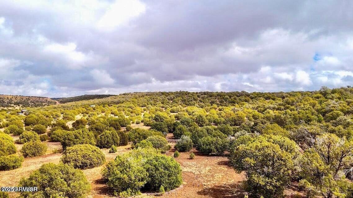 TBD Co Rd 8256 Lot D 10 Acres #-, Concho, AZ 85924