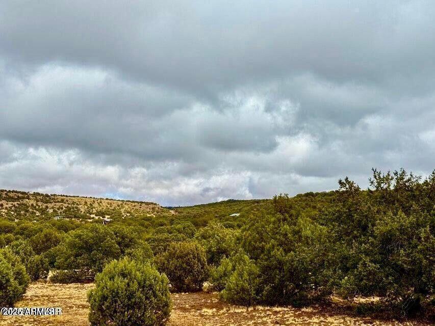 TBD Co Rd 8256 Lot E 10 Acres #-, Concho, AZ 85924
